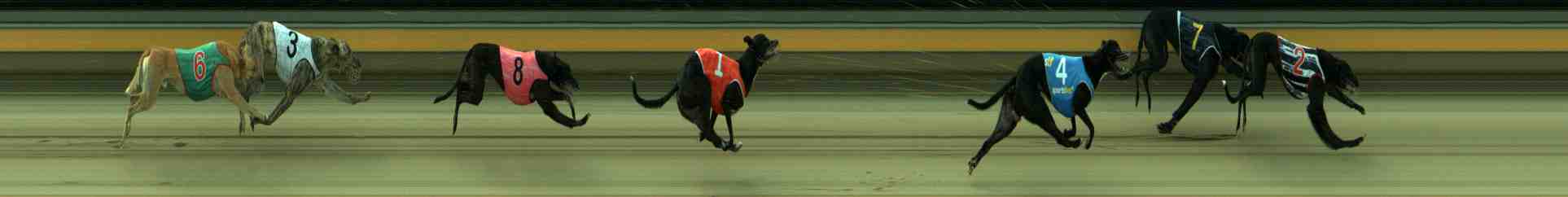 Photo finish for Sale Race 10