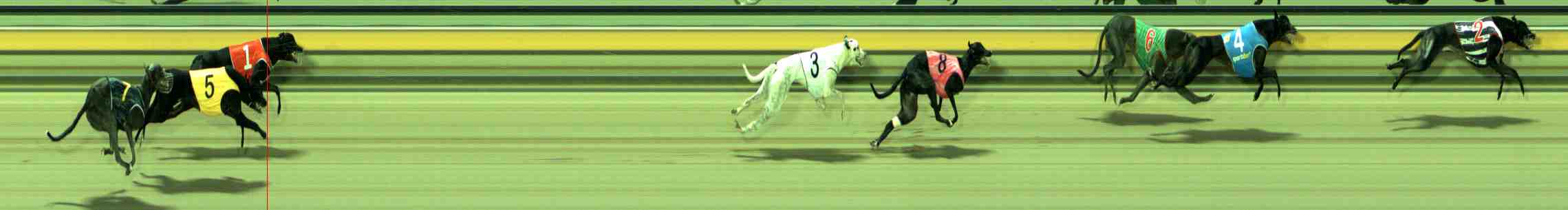 Photo finish for Sale Race 1