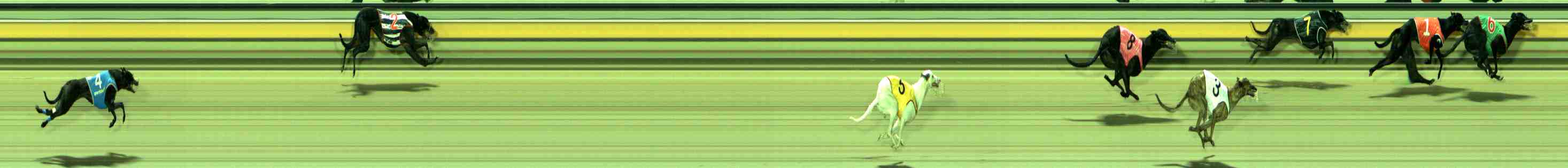 Photo finish for Sale Race 2