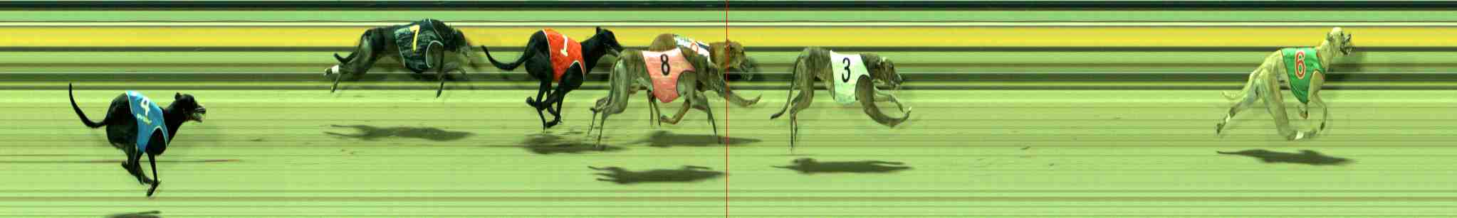 Photo finish for Sale Race 3