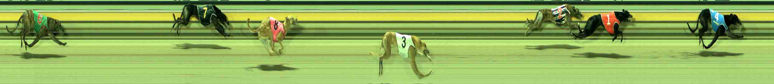 Photo finish for Sale Race 4