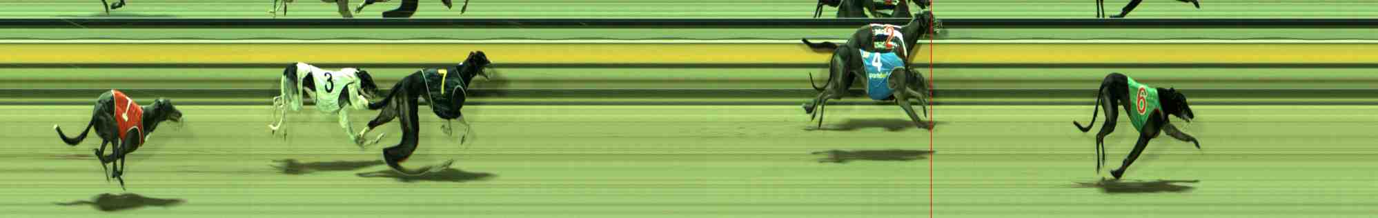 Photo finish for Sale Race 5