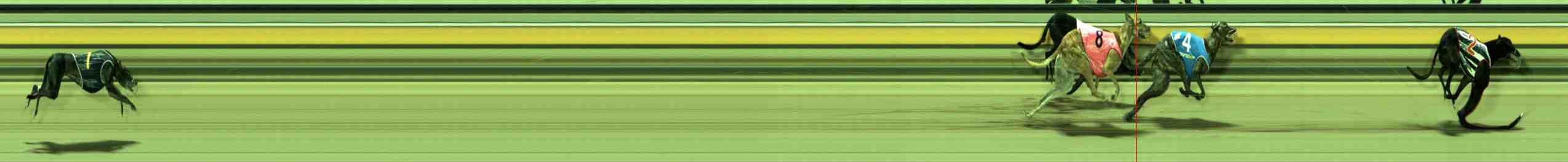 Photo finish for Sale Race 6