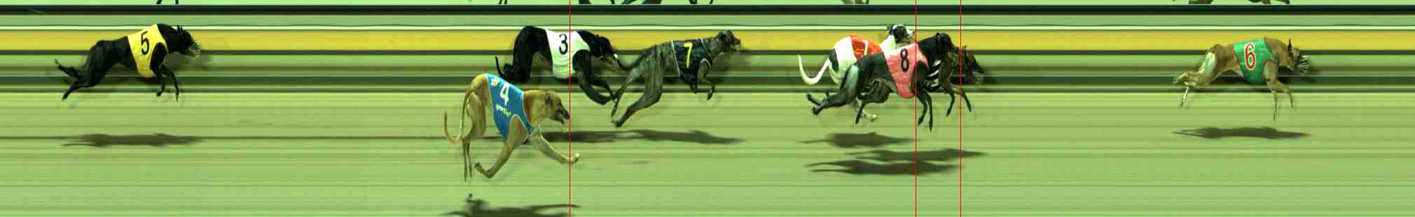 Photo finish for Sale Race 7