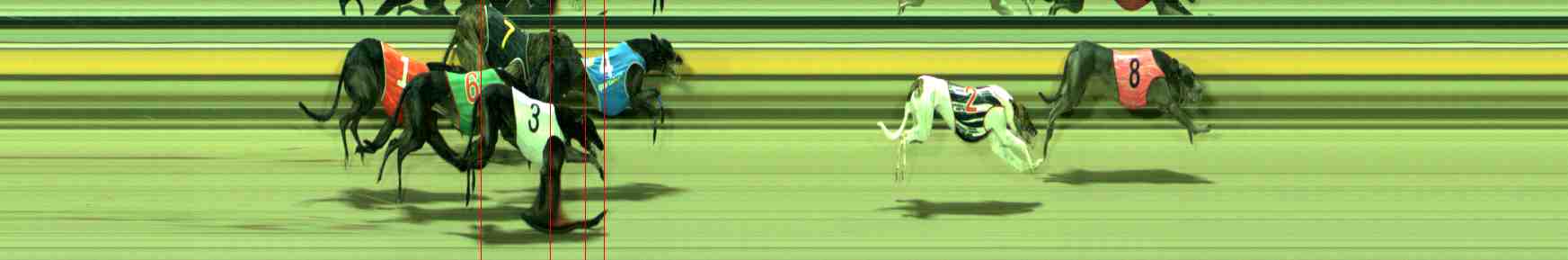 Photo finish for Sale Race 8