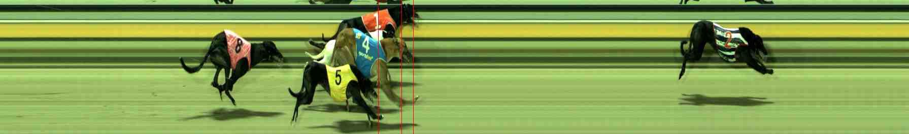 Photo finish for Sale Race 9