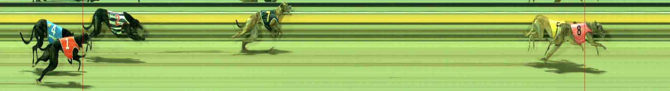 Photo finish for Sale Race 10
