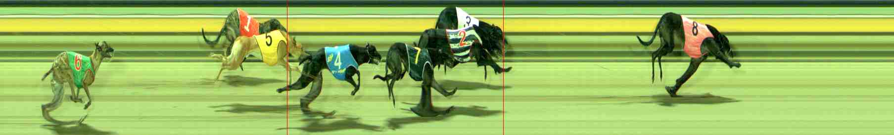 Photo finish for Sale Race 11