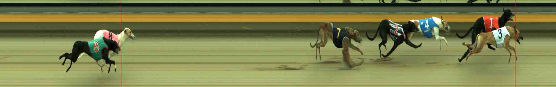 Photo finish for Sale Race 1