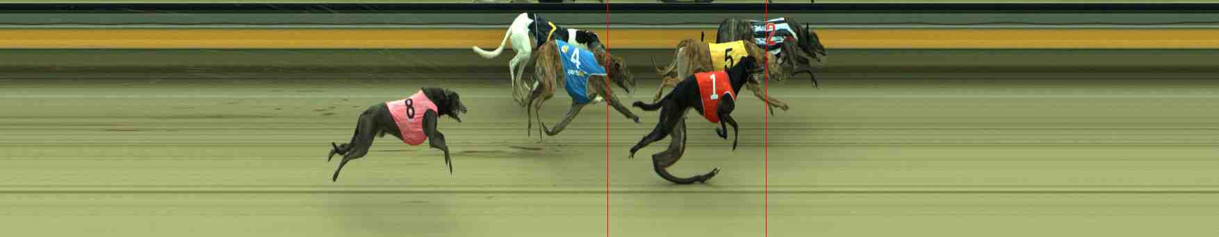 Photo finish for Sale Race 2