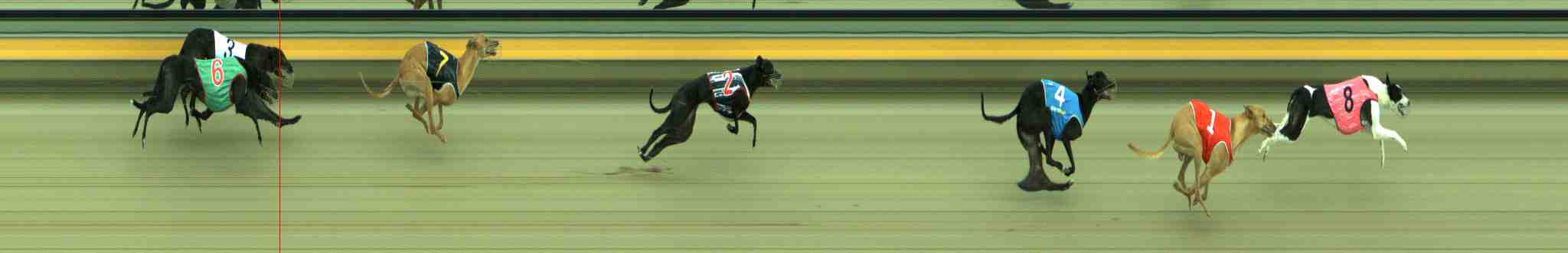 Photo finish for Sale Race 4