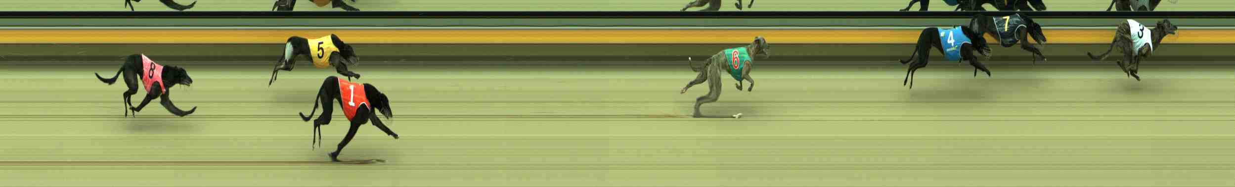 Photo finish for Sale Race 5