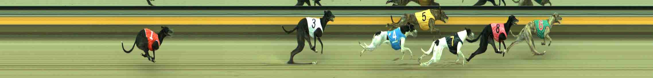 Photo finish for Sale Race 6
