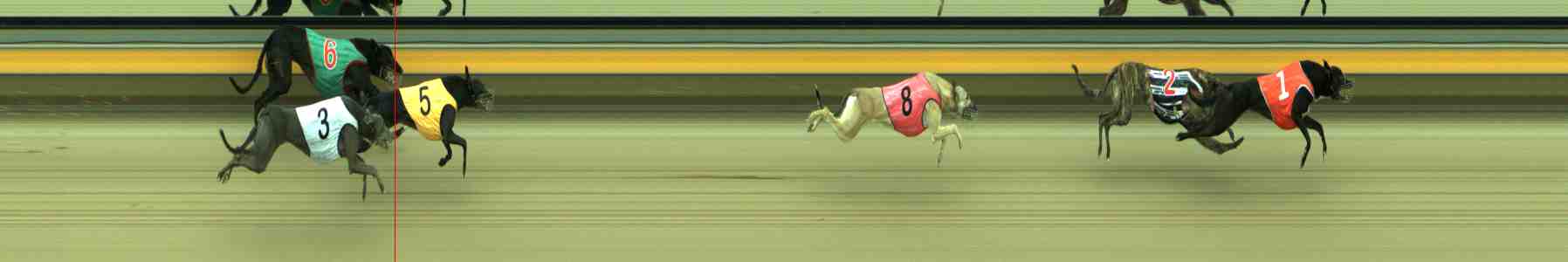 Photo finish for Sale Race 7