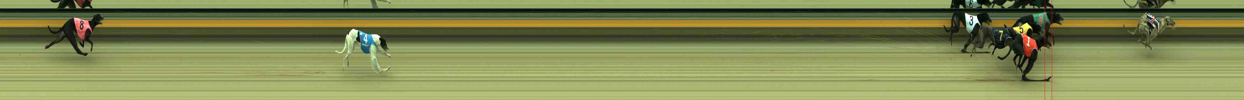 Photo finish for Sale Race 8