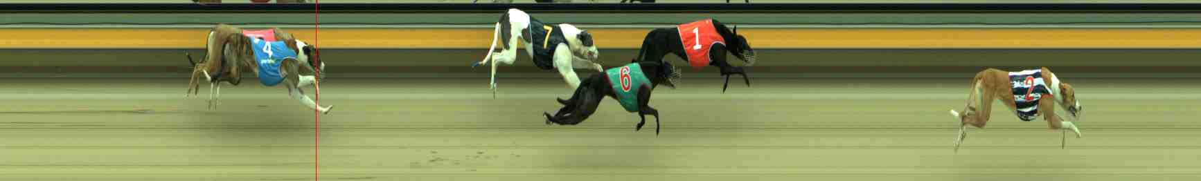 Photo finish for Sale Race 9