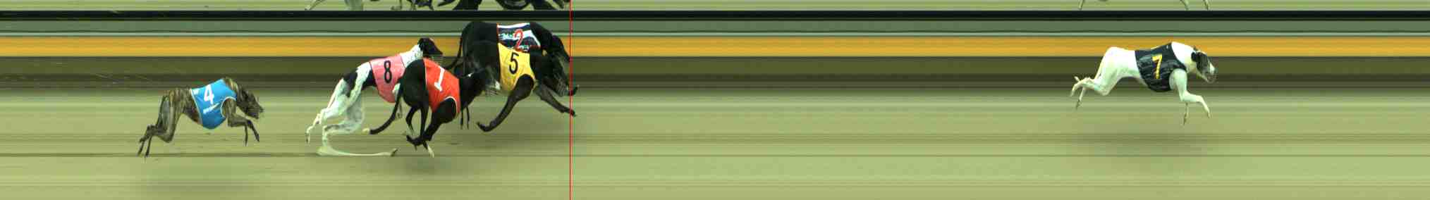 Photo finish for Sale Race 10