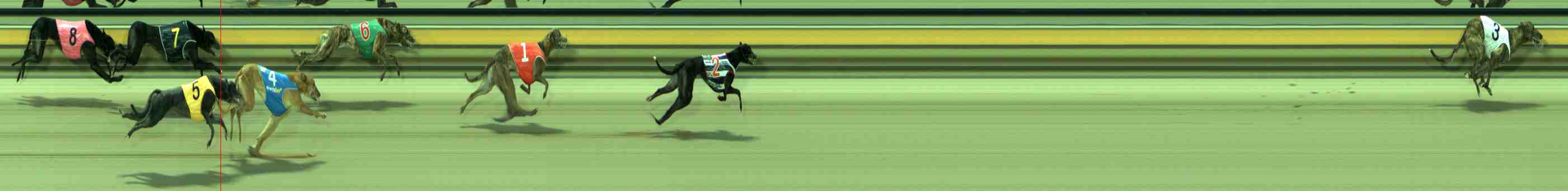 Photo finish for Sale Race 1