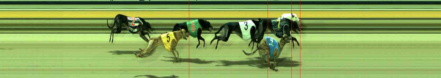 Photo finish for Sale Race 2