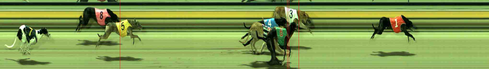 Photo finish for Sale Race 5