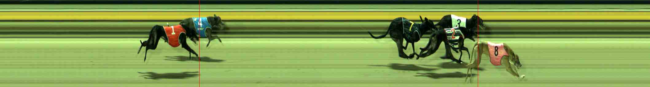 Photo finish for Sale Race 6