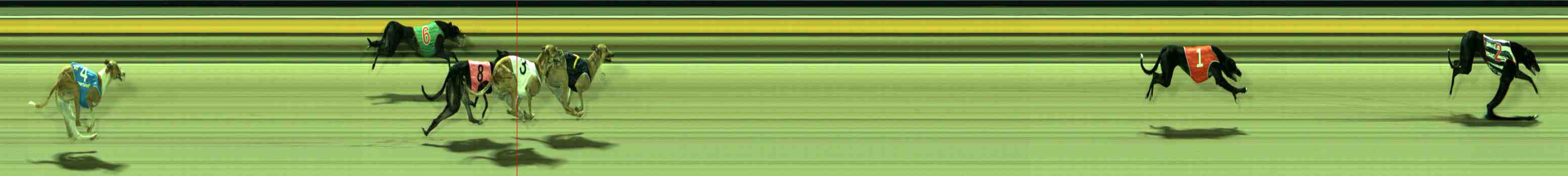 Photo finish for Sale Race 7