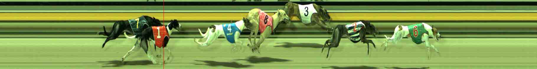 Photo finish for Sale Race 8