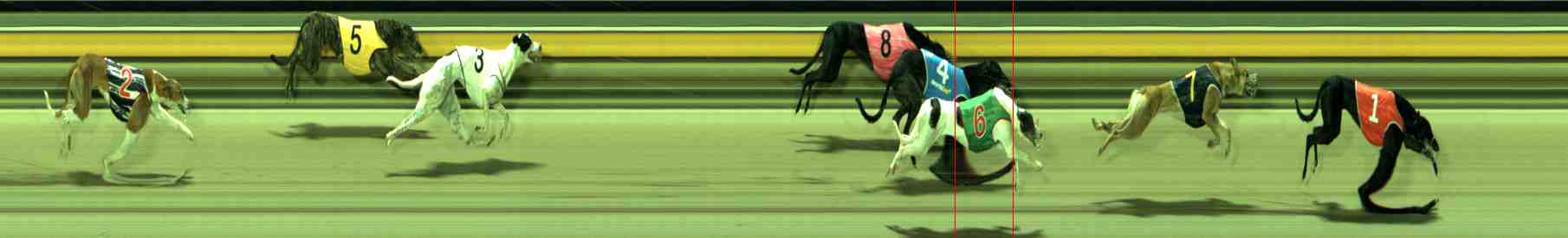 Photo finish for Sale Race 9