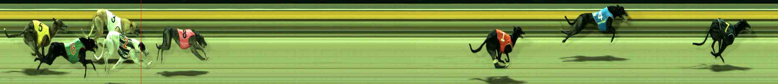 Photo finish for Sale Race 10