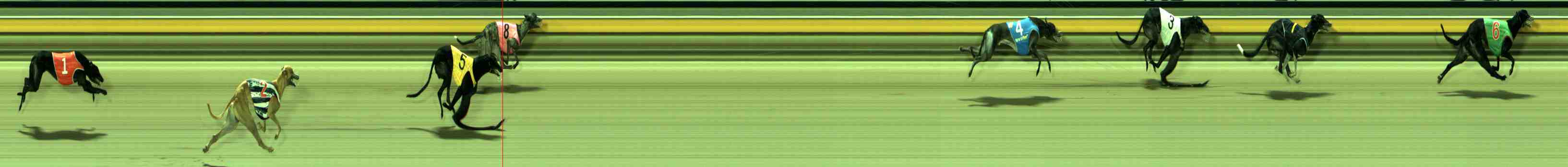 Photo finish for Sale Race 11