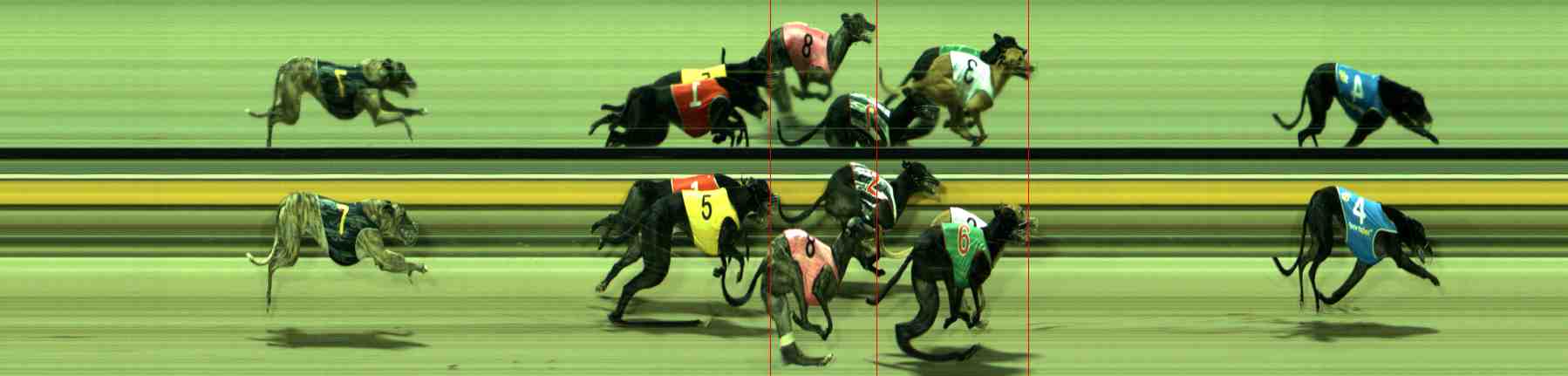 Photo finish for Sale Race 12