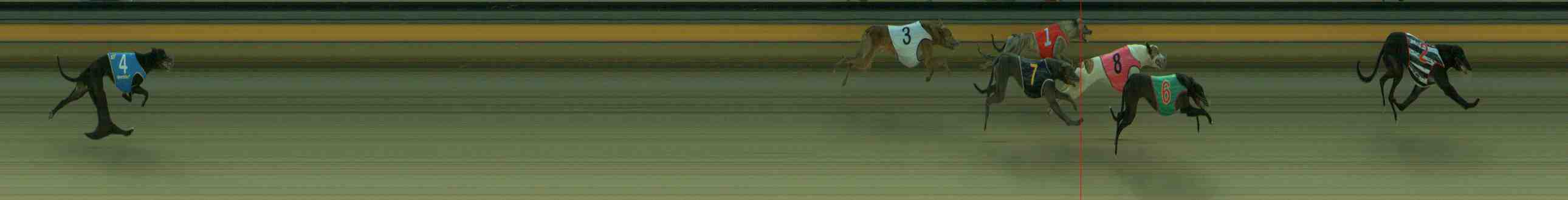 Photo finish for Sale Race 1