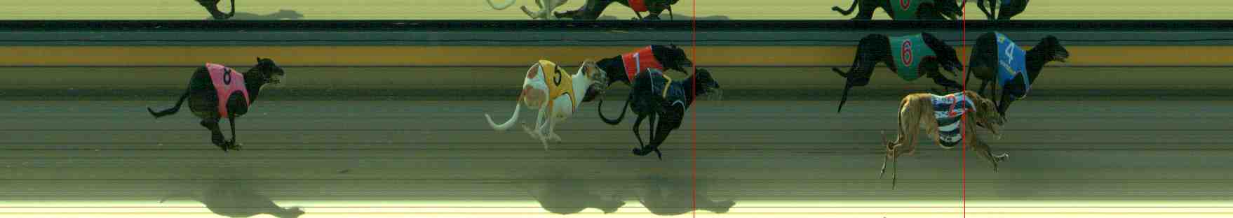 Photo finish for Sale Race 2
