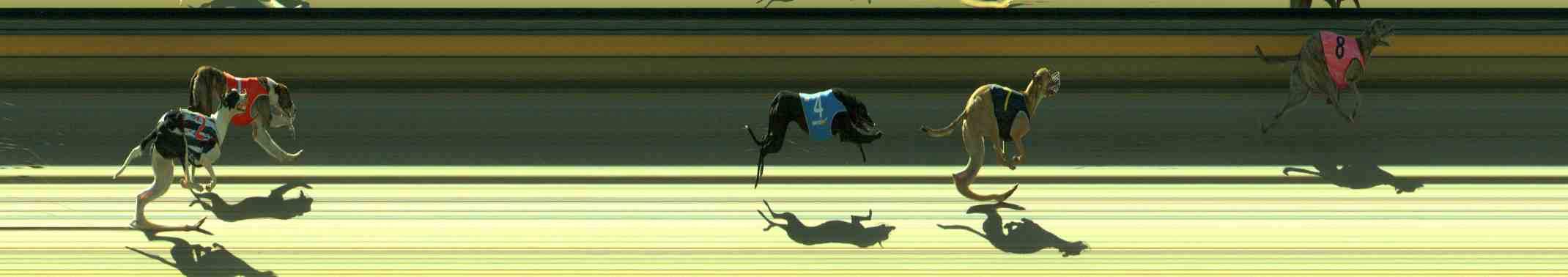 Photo finish for Sale Race 3