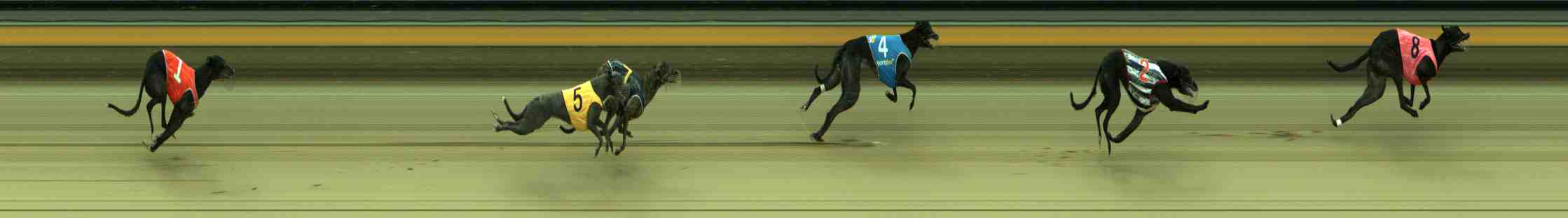 Photo finish for Sale Race 4