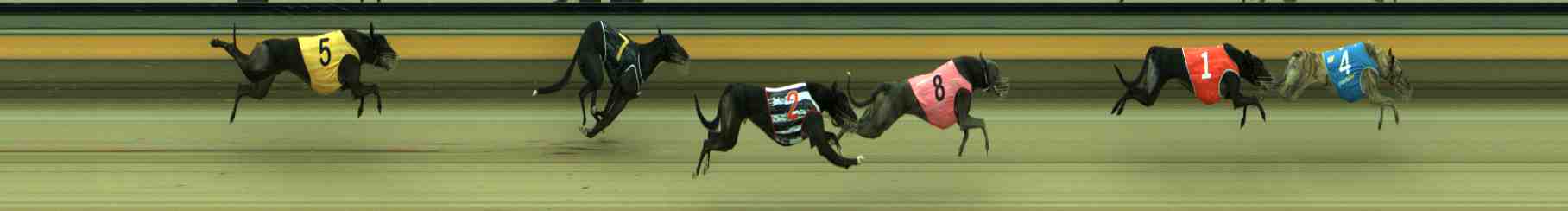 Photo finish for Sale Race 5