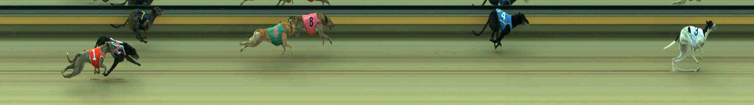 Photo finish for Sale Race 6