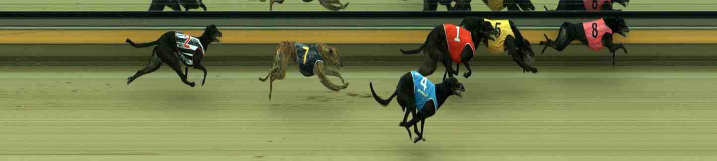 Photo finish for Sale Race 7