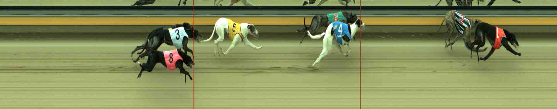 Photo finish for Sale Race 8