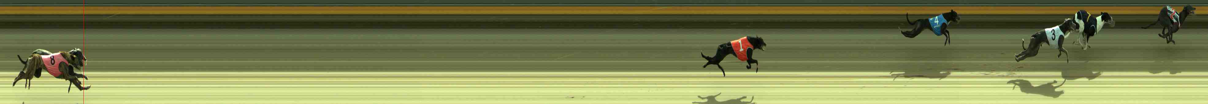 Photo finish for Sale Race 1