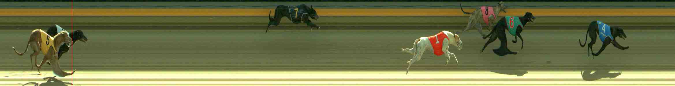 Photo finish for Sale Race 2