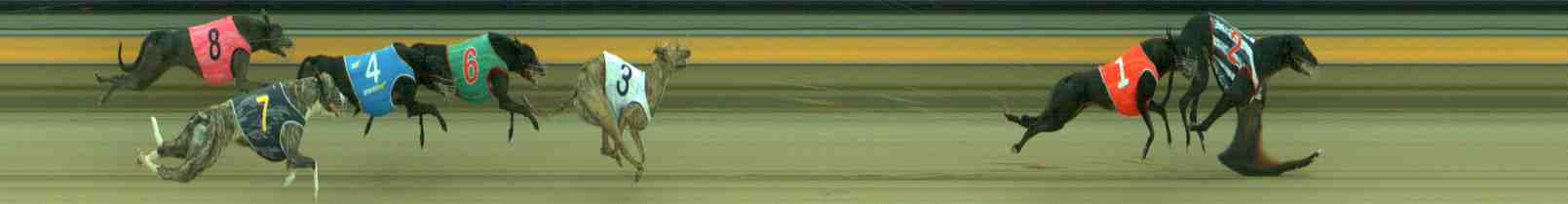 Photo finish for Sale Race 3