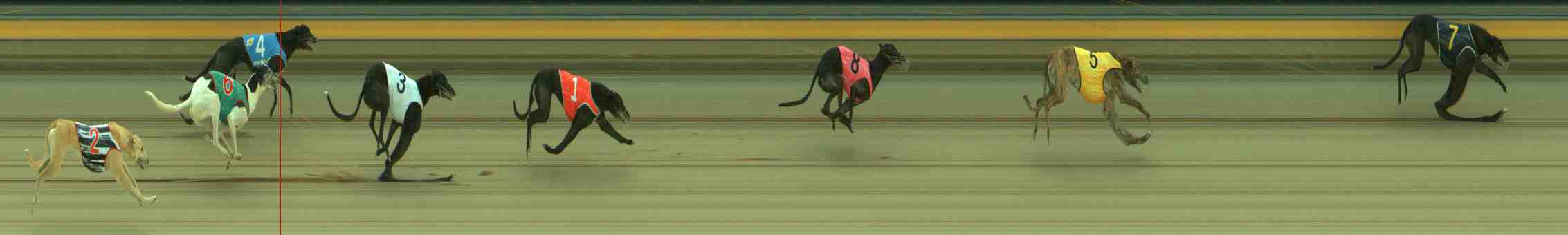 Photo finish for Sale Race 4