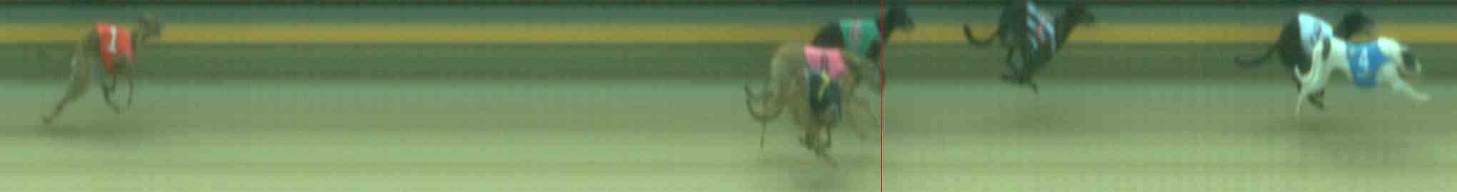 Photo finish for Sale Race 5