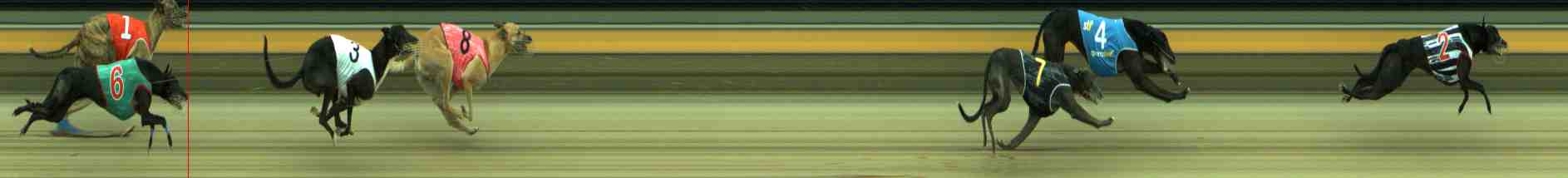 Photo finish for Sale Race 7
