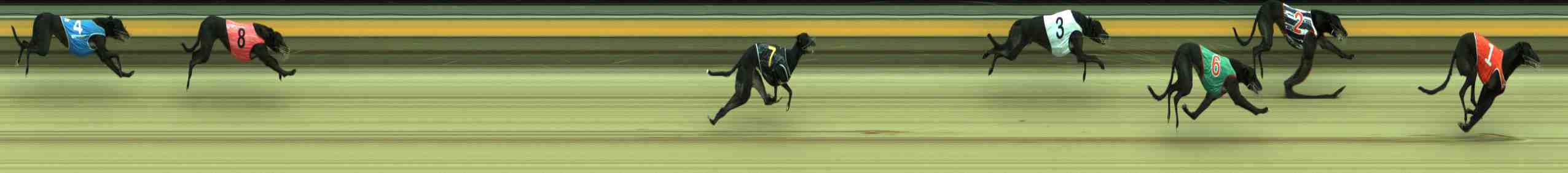 Photo finish for Sale Race 8