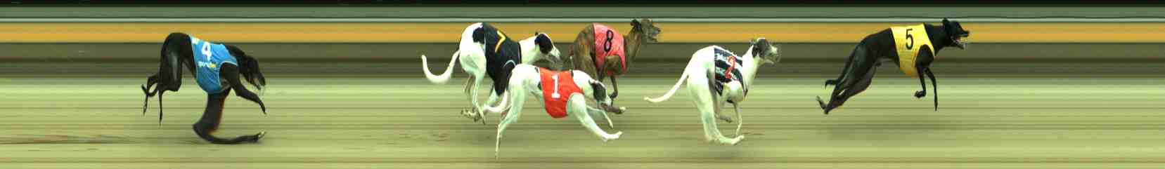 Photo finish for Sale Race 9