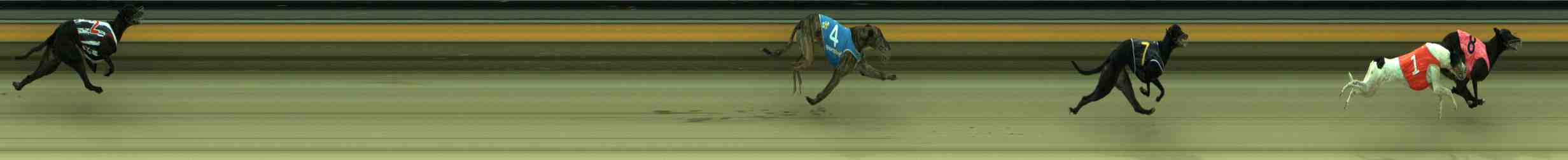 Photo finish for Sale Race 10