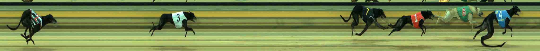 Photo finish for Sale Race 1