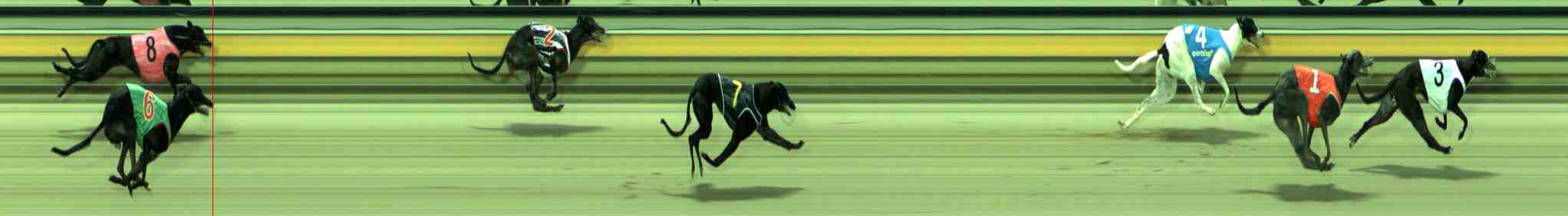 Photo finish for Sale Race 2